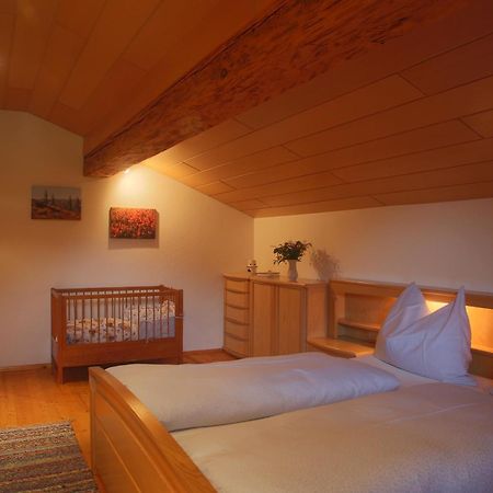 Kasperbauer Daire Kirchberg in Tirol Oda fotoğraf